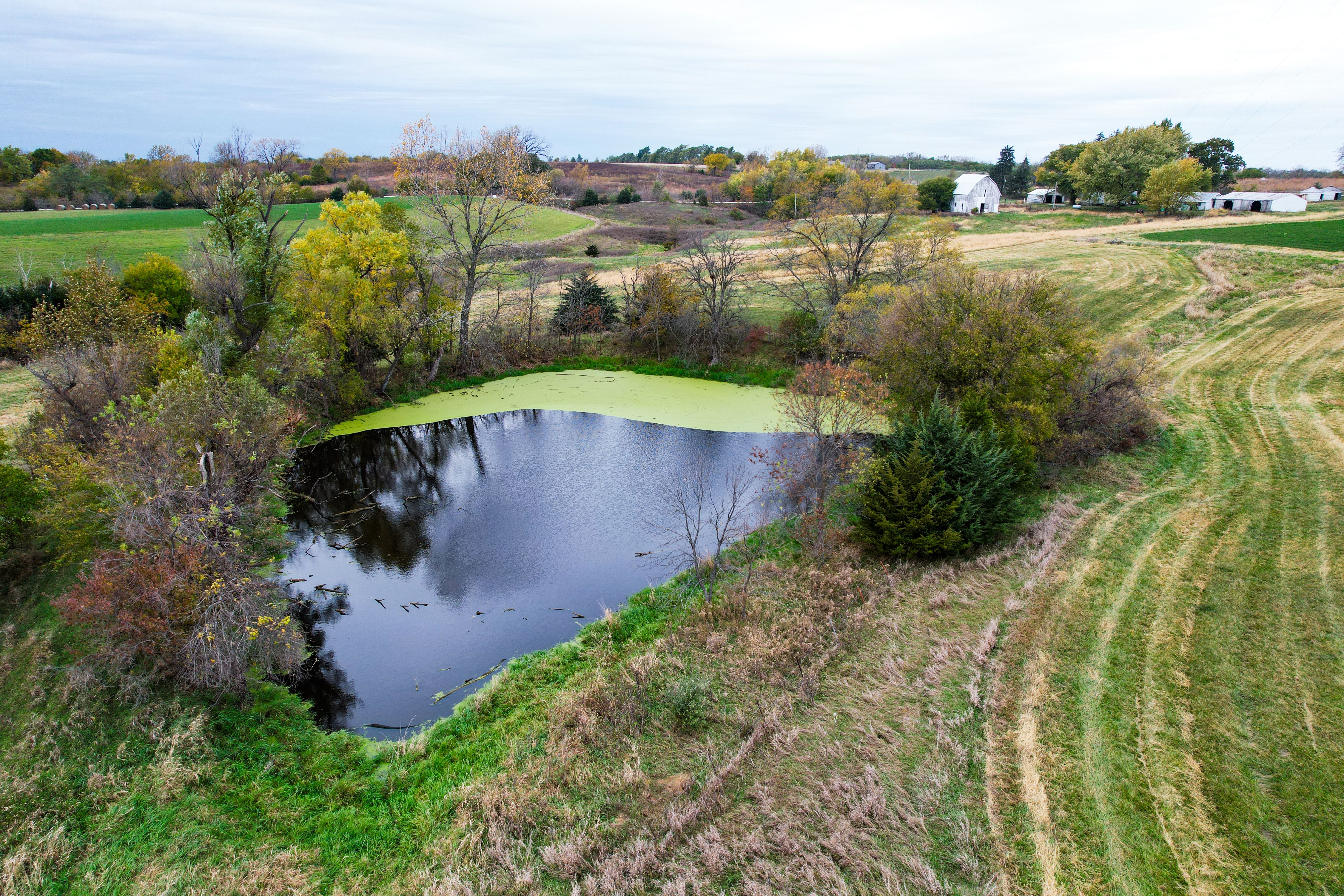 Listing Photo: Photo Oct 27 2025, 2 07 22 PM